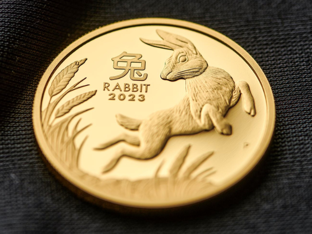 Rabbit gold 640x480