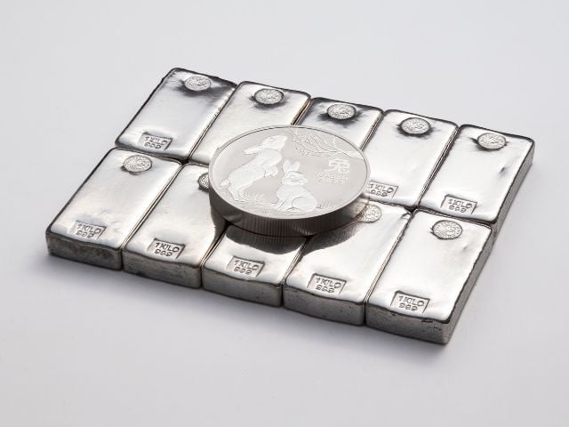 Silver 640x480