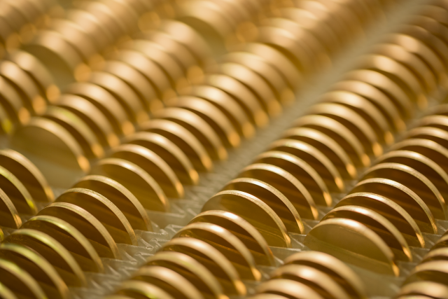 gold coin blanks  640x